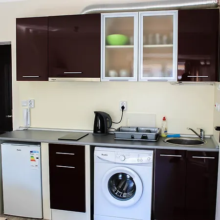 Apartment Asya Lozenets